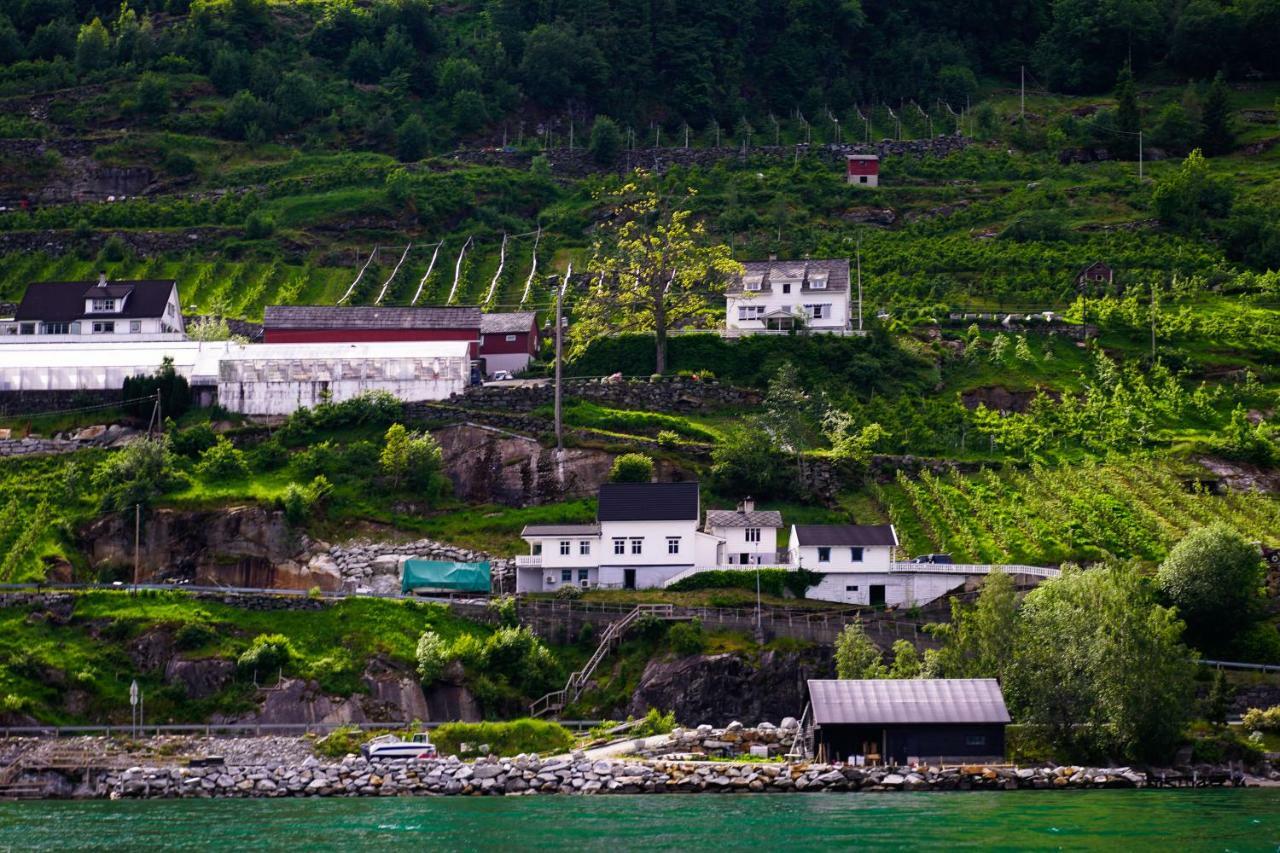 Fjord House Villa Grimo Eksteriør bilde